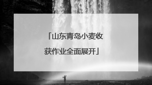山东青岛小麦收获作业全面展开
