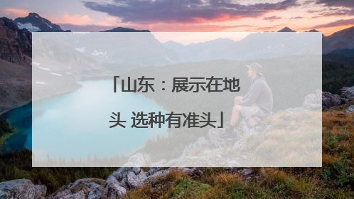 山东：展示在地头 选种有准头