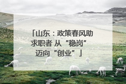山东：政策春风助求职者 从“稳岗”迈向“创业”