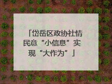 岱岳区政协社情民意“小信息”实现“大作为”