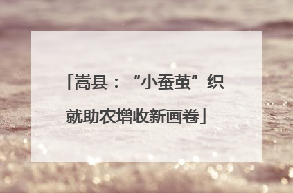 嵩县：“小蚕茧”织就助农增收新画卷