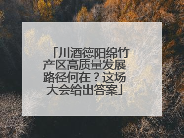 川酒德阳绵竹产区高质量发展路径何在？这场大会给出答案