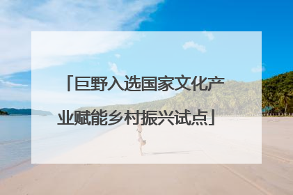 巨野入选国家文化产业赋能乡村振兴试点