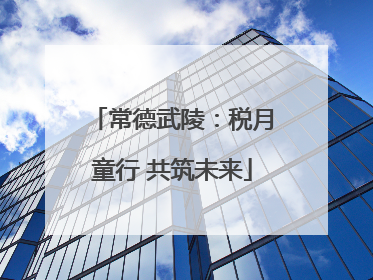 常德武陵：税月童行 共筑未来