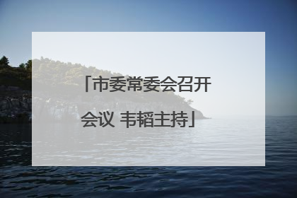 市委常委会召开会议 韦韬主持