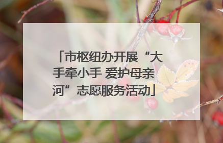 市枢纽办开展“大手牵小手 爱护母亲河”志愿服务活动