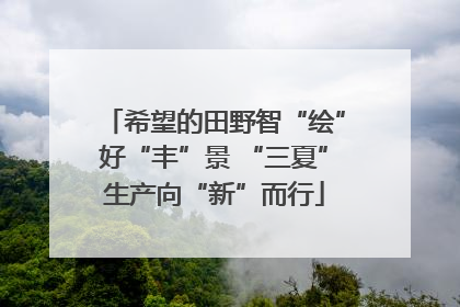 希望的田野智“绘”好“丰”景 “三夏”生产向“新”而行