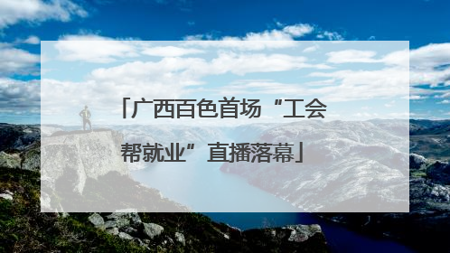 广西百色首场“工会帮就业”直播落幕