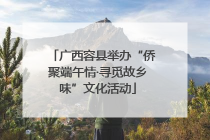 广西容县举办“侨聚端午情·寻觅故乡味”文化活动