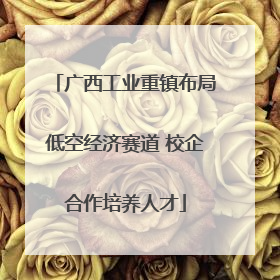 广西工业重镇布局低空经济赛道 校企合作培养人才