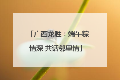 广西龙胜：端午粽情深 共话邻里情