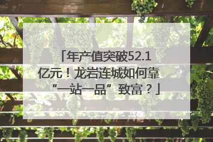 年产值突破52.1亿元！龙岩连城如何靠“一站一品”致富？