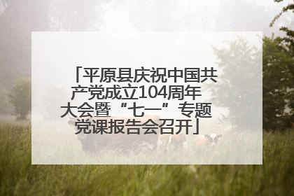 平原县庆祝中国共产党成立104周年大会暨“七一”专题党课报告会召开