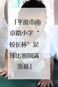 平度市南京路小学“校长杯”足球比赛圆满落幕
