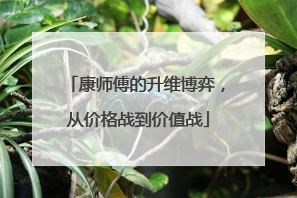 康师傅的升维博弈，从价格战到价值战