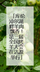 库伦淖尔湖畔羊肉飘香！第三届全国烤羊大会在沽源举行
