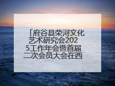府谷县荣河文化艺术研究会2025工作年会暨首届二次会员大会在西安召开