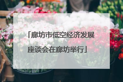廊坊市低空经济发展座谈会在廊坊举行