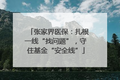 张家界医保：扎根一线“找问题”，守住基金“安全线”