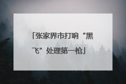 张家界市打响“黑飞”处理第一枪