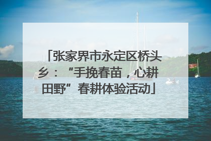 张家界市永定区桥头乡：“手挽春苗，心耕田野”春耕体验活动