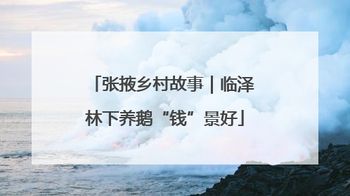 张掖乡村故事｜临泽林下养鹅“钱”景好