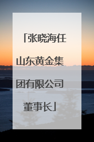 张晓海任山东黄金集团有限公司董事长