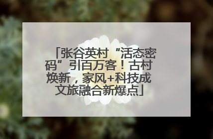 张谷英村“活态密码”引百万客！古村焕新，家风+科技成文旅融合新爆点