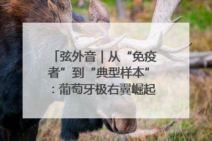 弦外音｜从“免疫者”到“典型样本”：葡萄牙极右翼崛起背后的欧洲困局
