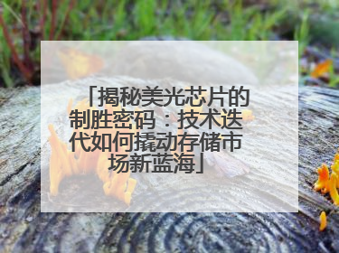揭秘美光芯片的制胜密码：技术迭代如何撬动存储市场新蓝海