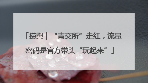捞舆｜“青交所”走红，流量密码是官方带头“玩起来”