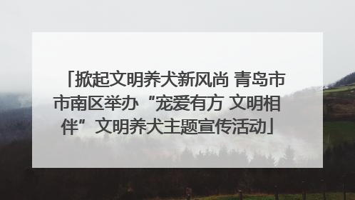 掀起文明养犬新风尚 青岛市市南区举办“宠爱有方 文明相伴”文明养犬主题宣传活动