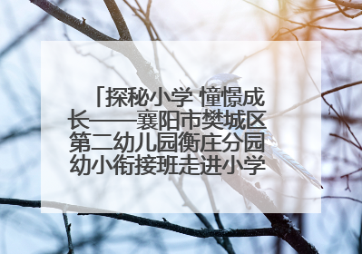 探秘小学 憧憬成长——襄阳市樊城区第二幼儿园衡庄分园幼小衔接班走进小学开展参观体验活动