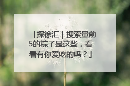 探徐汇｜搜索量前5的粽子是这些，看看有你爱吃的吗？