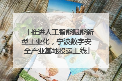 推进人工智能赋能新型工业化，宁波数字安全产业基地投运上线