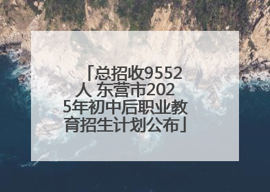 总招收9552人 东营市2025年初中后职业教育招生计划公布