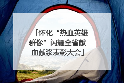 怀化“热血英雄群像”闪耀全省献血献浆表彰大会
