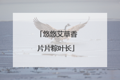 悠悠艾草香 片片粽叶长
