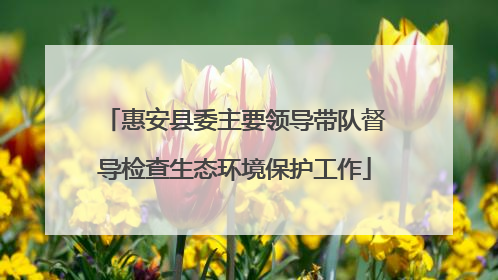 惠安县委主要领导带队督导检查生态环境保护工作