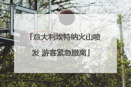 意大利埃特纳火山喷发 游客紧急撤离