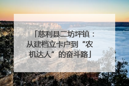 慈利县二坊坪镇：从建档立卡户到“农机达人”的奋斗路