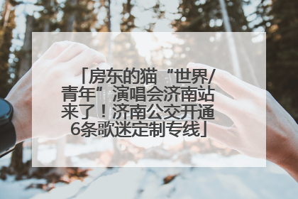 房东的猫“世界/青年”演唱会济南站来了！济南公交开通6条歌迷定制专线