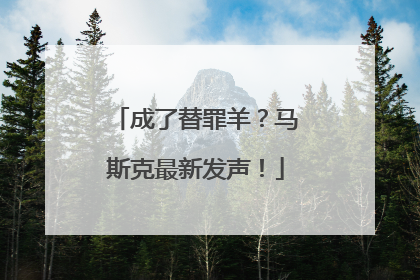 成了替罪羊？马斯克最新发声！