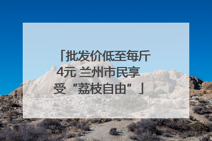 批发价低至每斤4元 兰州市民享受“荔枝自由”