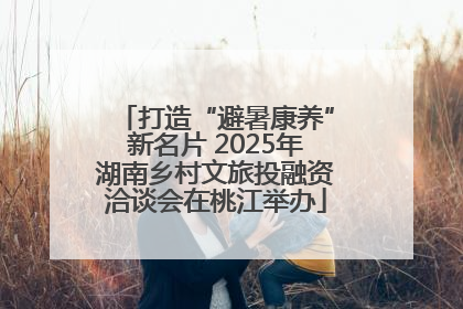 打造“避暑康养”新名片 2025年湖南乡村文旅投融资洽谈会在桃江举办