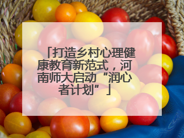 打造乡村心理健康教育新范式，河南师大启动“润心者计划”