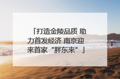 打造金陵品质 助力首发经济 南京迎来首家“胖东来”