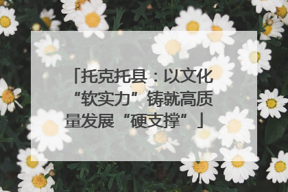 托克托县：以文化“软实力”铸就高质量发展“硬支撑”