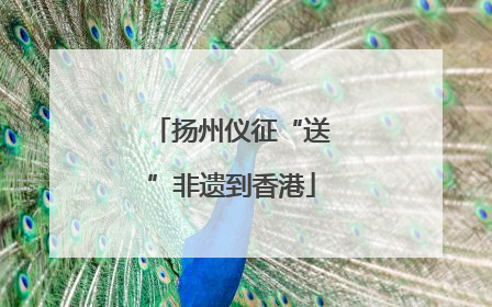 扬州仪征“送”非遗到香港