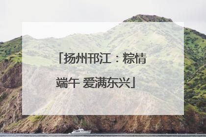 扬州邗江：粽情端午 爱满东兴